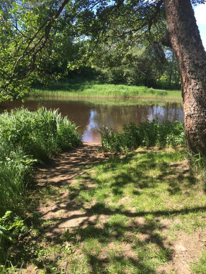 Savikulma Tentsile Tent Mynamaki Eksteriør billede